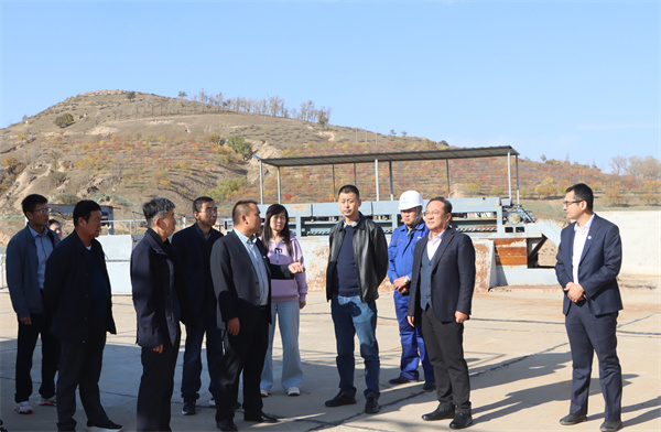 黨委書記、董事長劉衛(wèi)東前往大興場站進(jìn)行項(xiàng)目調(diào)研.jpg